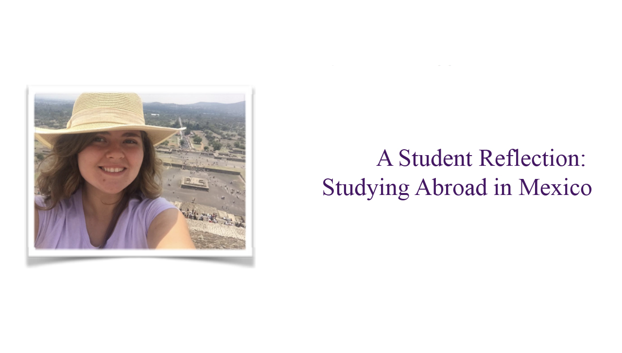 Study Abroad in Mexico