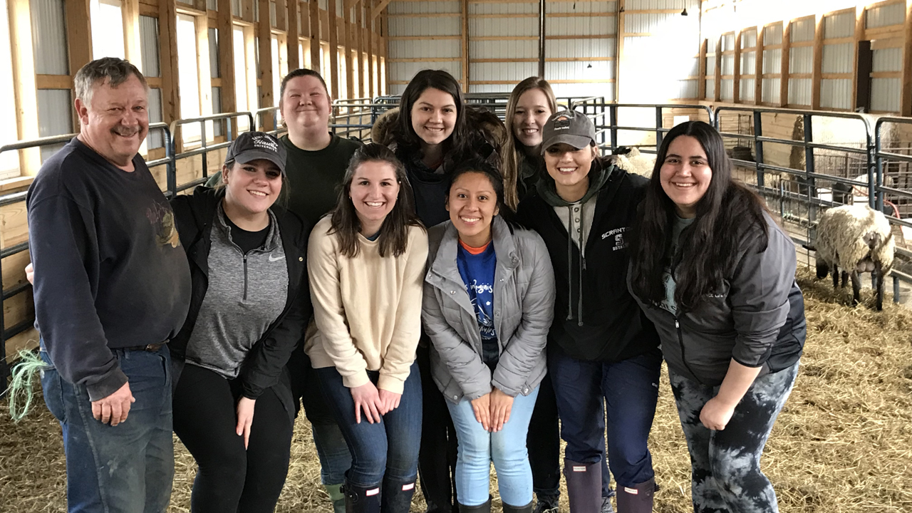 Scranton Pre-Vet Students Vaccinate Lambs