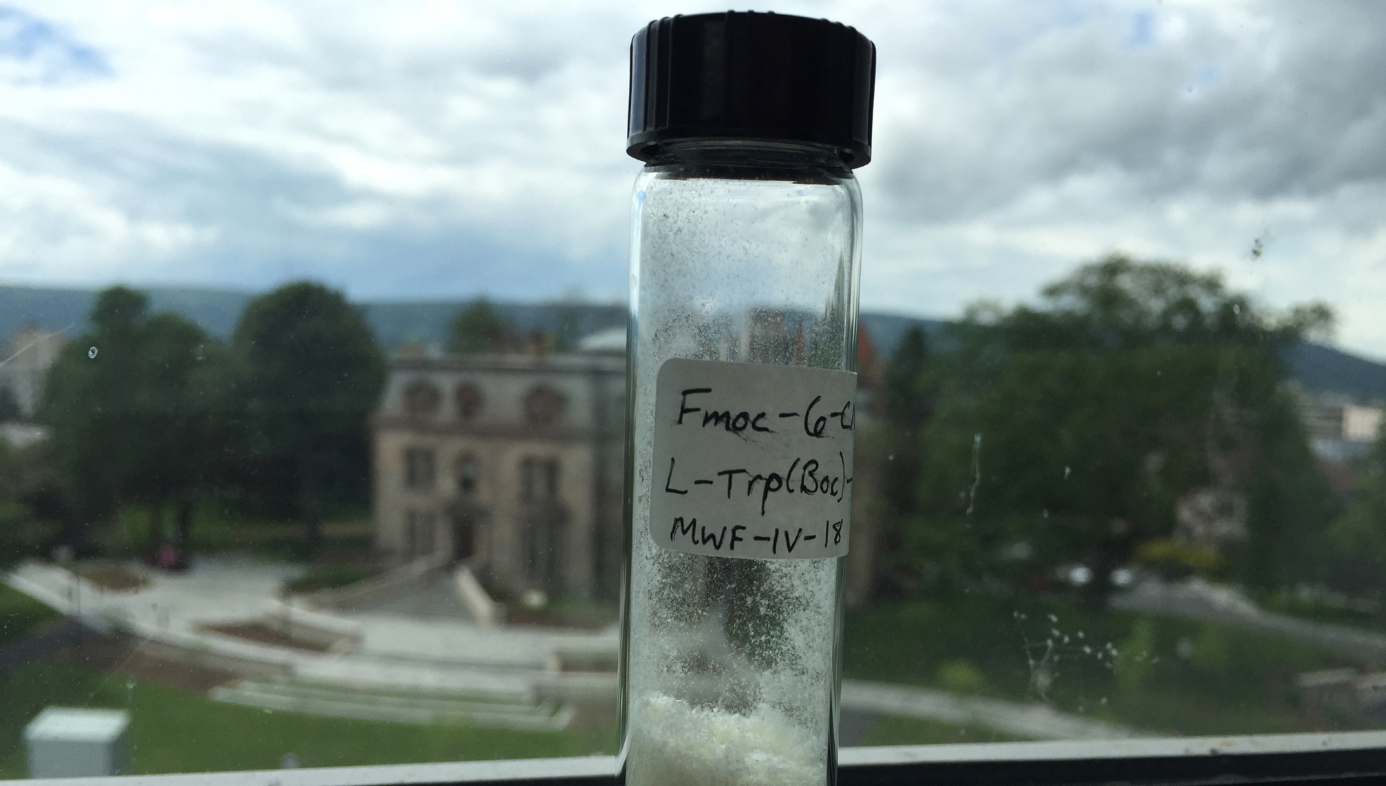 Faculty Summer Research: Amino Acids through Spectroscopy