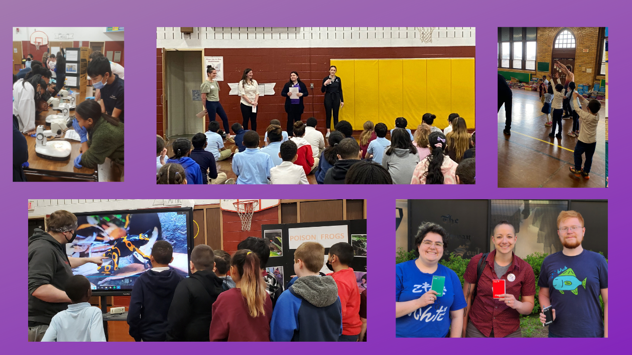University of Scranton students and faculty offer a variety of youth engagement activities this spring.