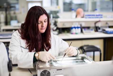 Alumni Profile: Lyndsey Collins-Praino, Ph.D. ’06 Playing the Long Game Against Cognitive Decline 