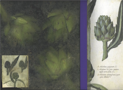 Lisa Hinkle’s Artichokes, Ribbon, and Manuscript, scanned object and inkjet print, is among her works displayed in the exhibit “(Im)Perfect Specimen: Photographs by Lisa Hinkle” the Hope Horn Gallery of Hyland Hall at The University of Scranton through Oct. 19.