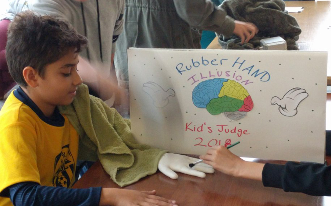 2019 Northeast PA Kids Judge Neuroscience Fair image