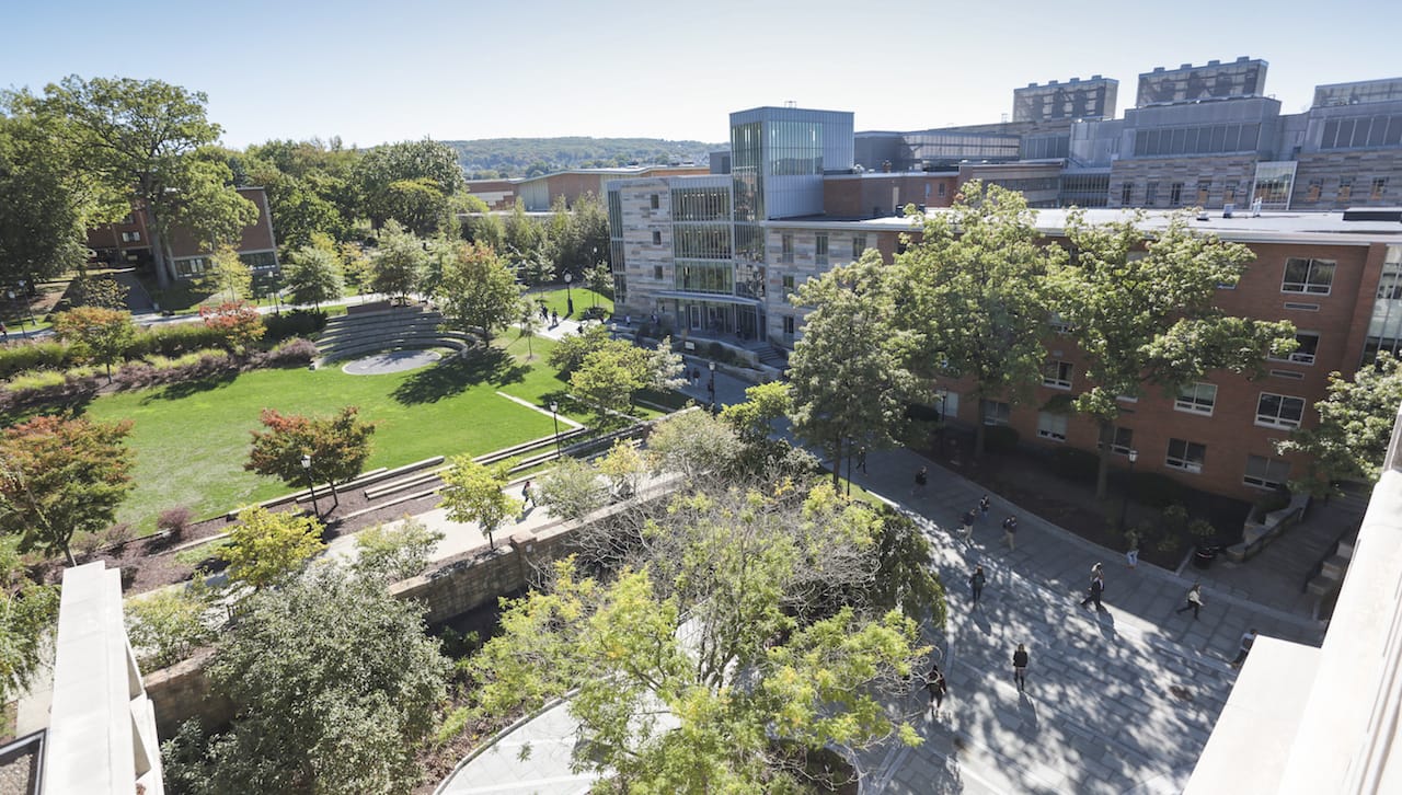 The University of Scranton will host a Virtual Preview Day for accepted students and their families on Saturday, Mar. 28.