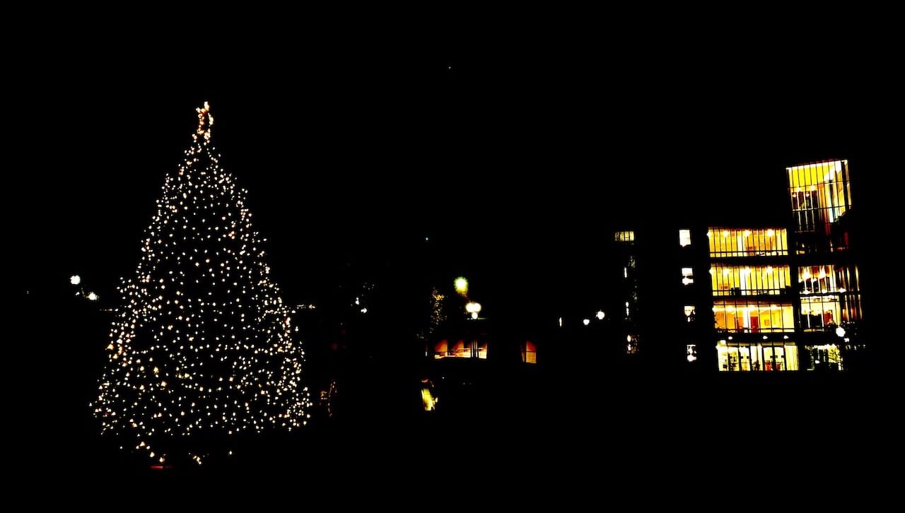 The University of Scranton planted a live Norway Spruce on the Dionne Campus Green to serve as Christmas tree for 2020 and years to come.