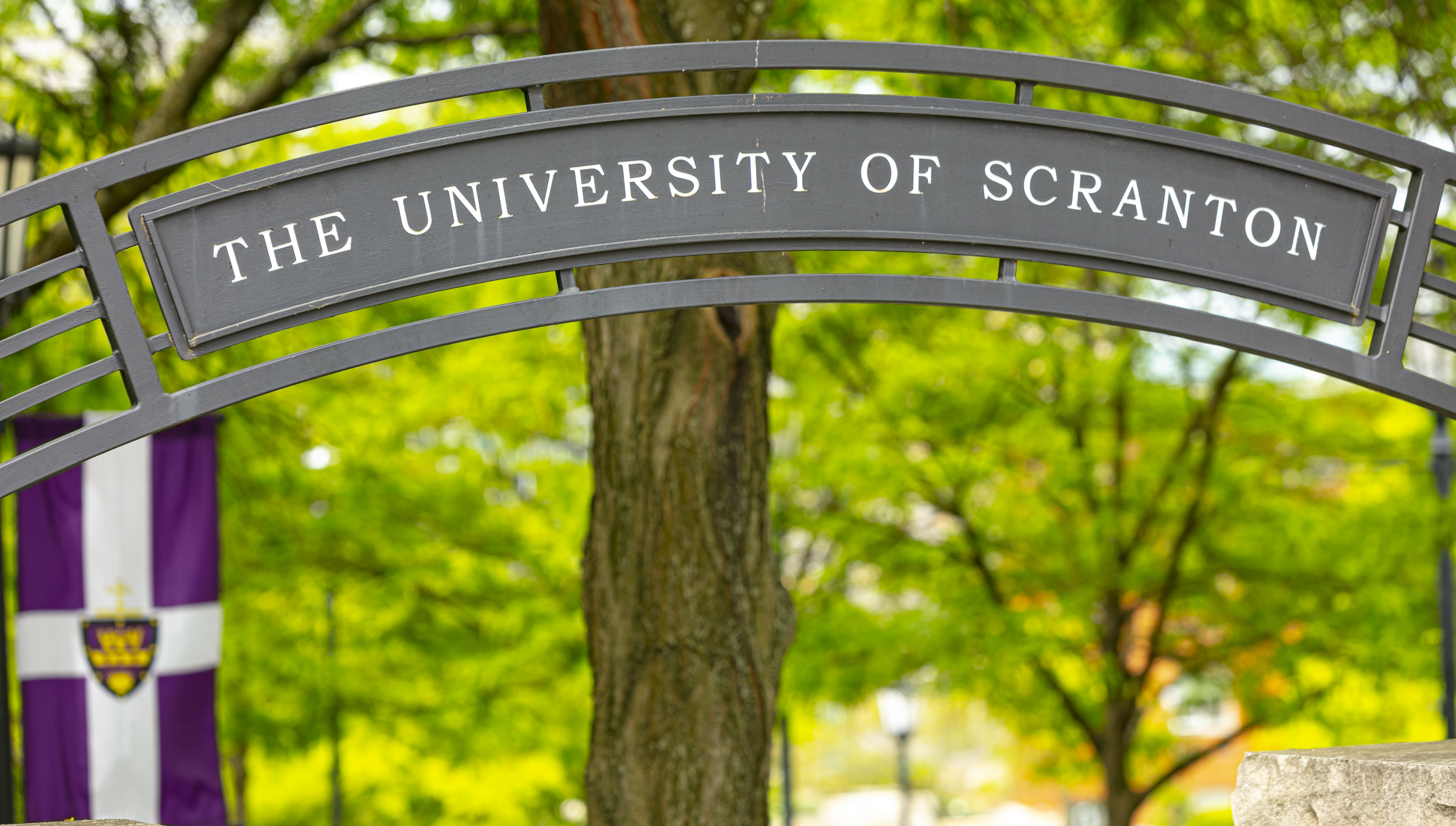 Scranton Alumni Network Continues To Thrive Impact Banner