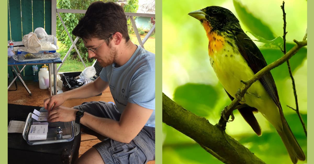 Two photos side by side. Person conducting research and bird on a branch.