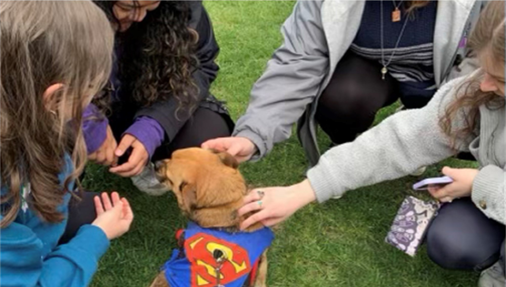 small brown puppy wearing a superman logo sweater is sitting on grass surrounded by four female college students wearing sweatshirts.