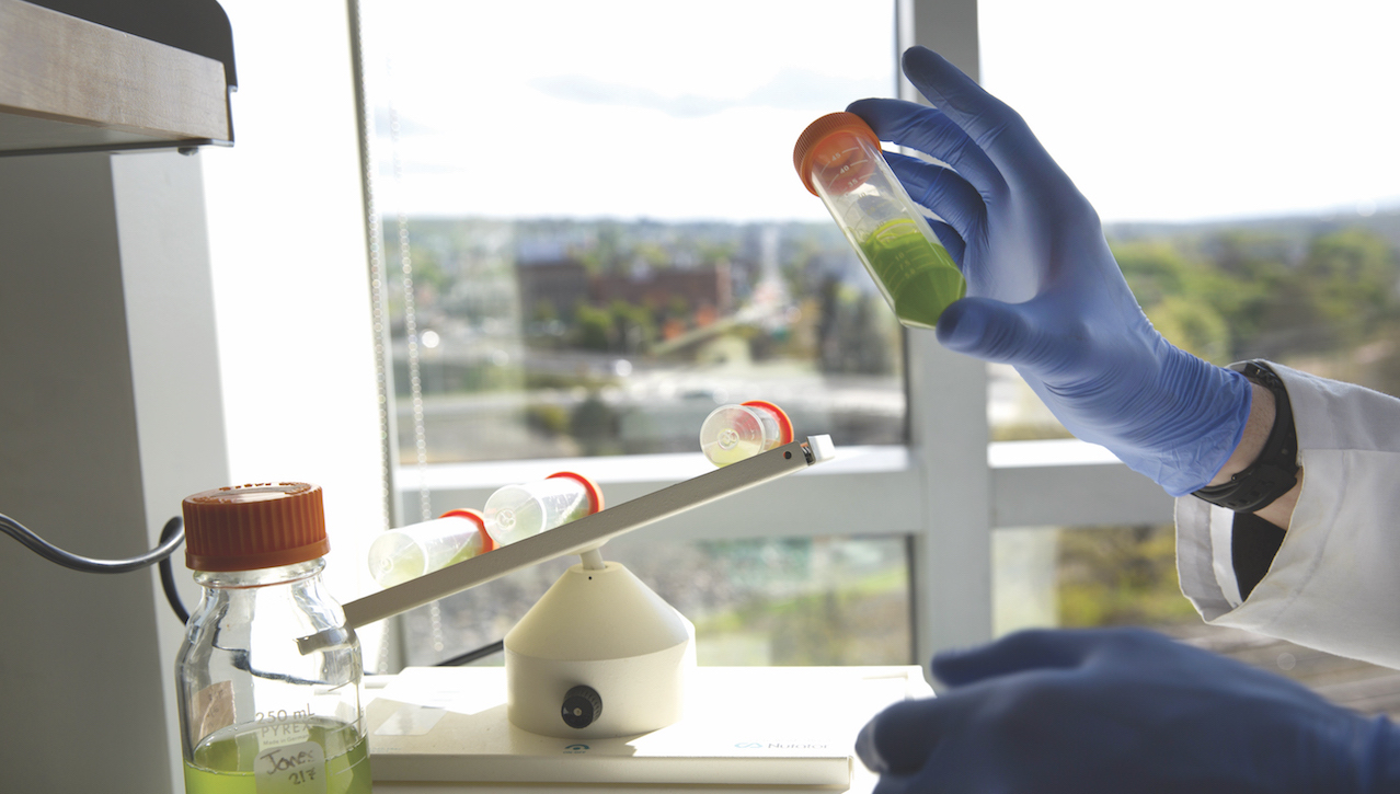 Students Receive Summer Research Fellowships image