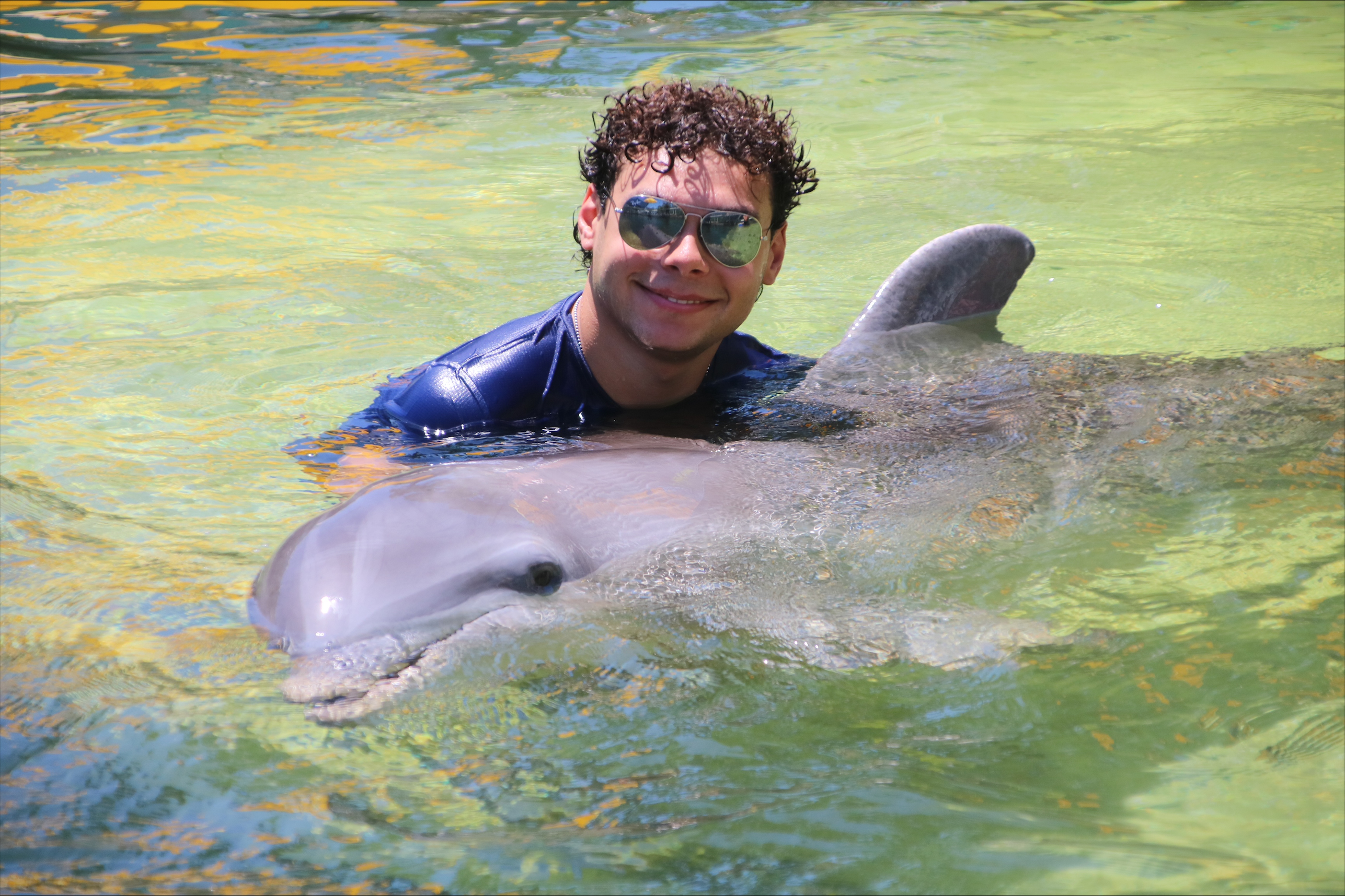 Student Justin Matzner holds a dolphin in a large pool of water.