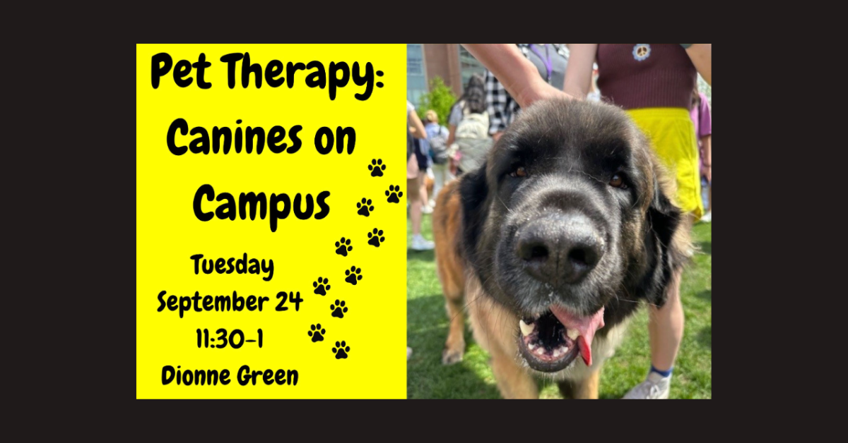 image of dog with tongue wagging on bright yellow background featuring black paw print images and text "Pet Therapy Day: Canines on Campus Tuesday September 24 11:30-1 Dionne Green"
