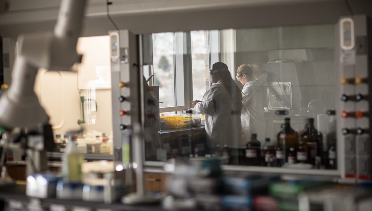 Scranton Among Top Catholic Colleges for Producing Ph.D.s image
