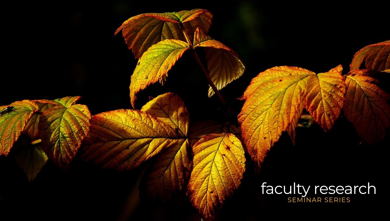 fall leaves on black background and faculty research seminar series text