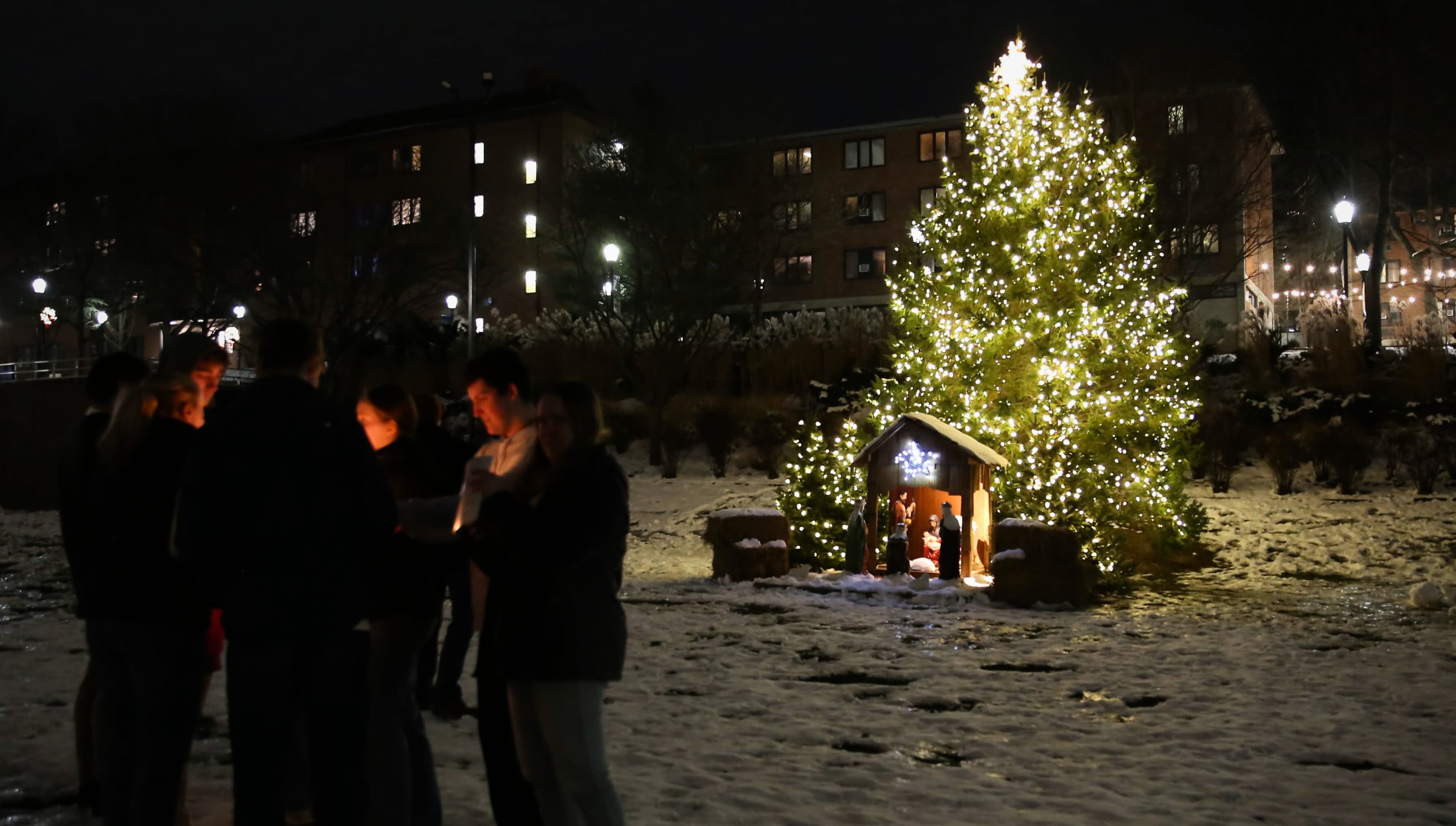 thumbnail for University Holds Advent Mass and Christmas Tree Lighting (Photos)