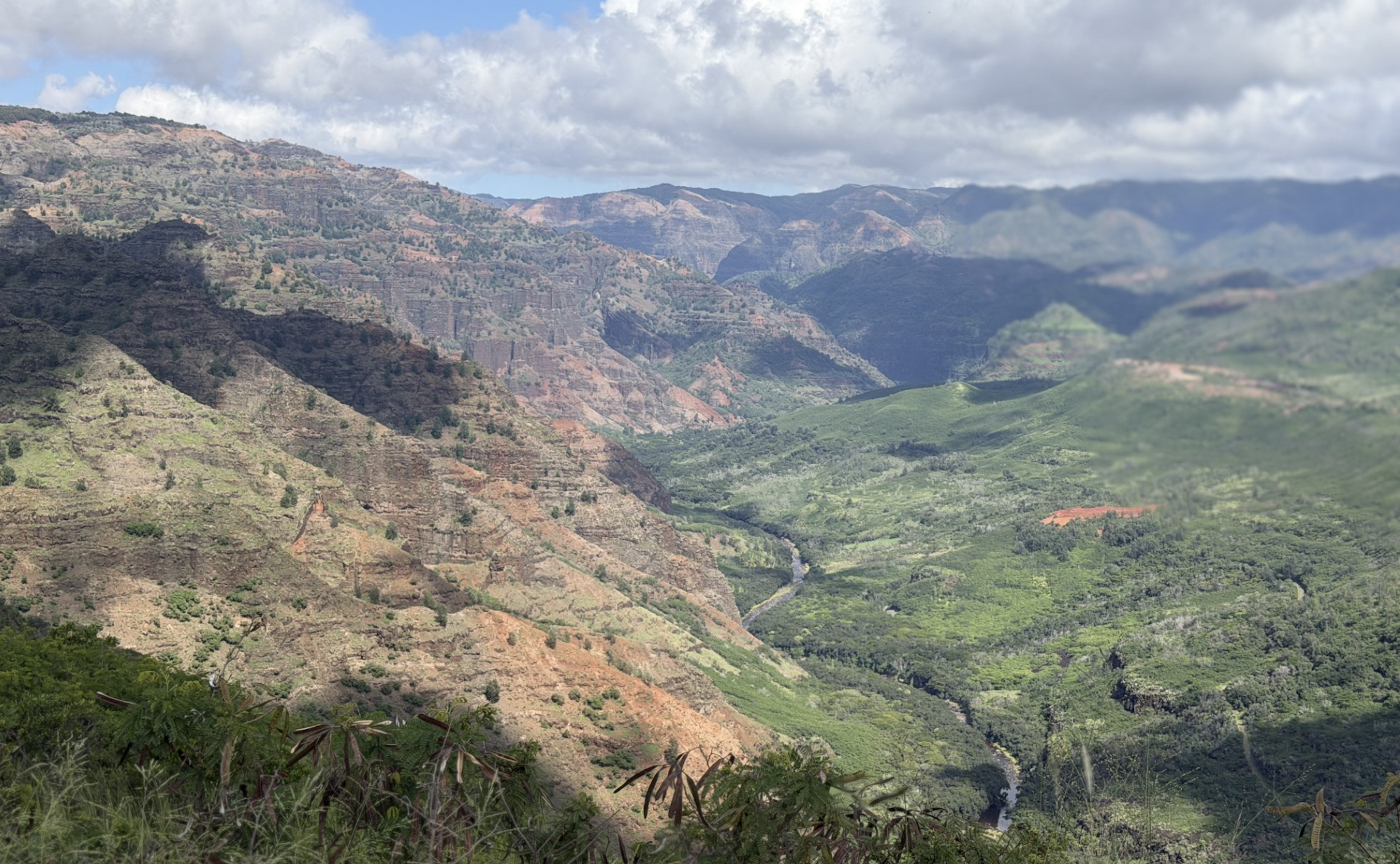 Occupational Therapy Service in Kauai