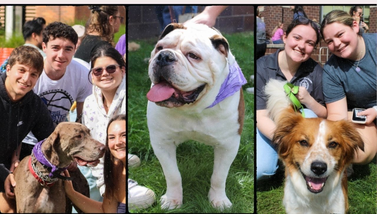 The University's Center for Service and Social Justice (CSSJ) will host "Pet Therapy: Canines on Campus!" on Tuesday, April 28. Participants are asked to register no later than Friday, April 24 