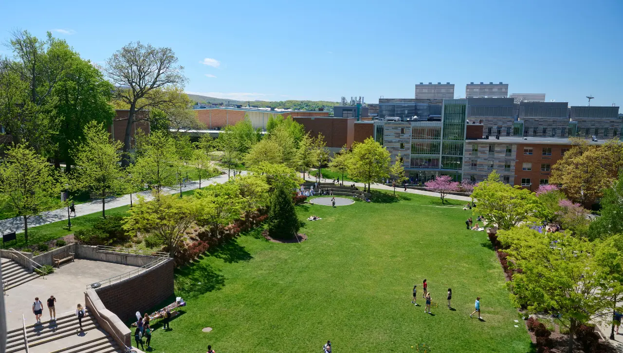 Students on the Dionne green 