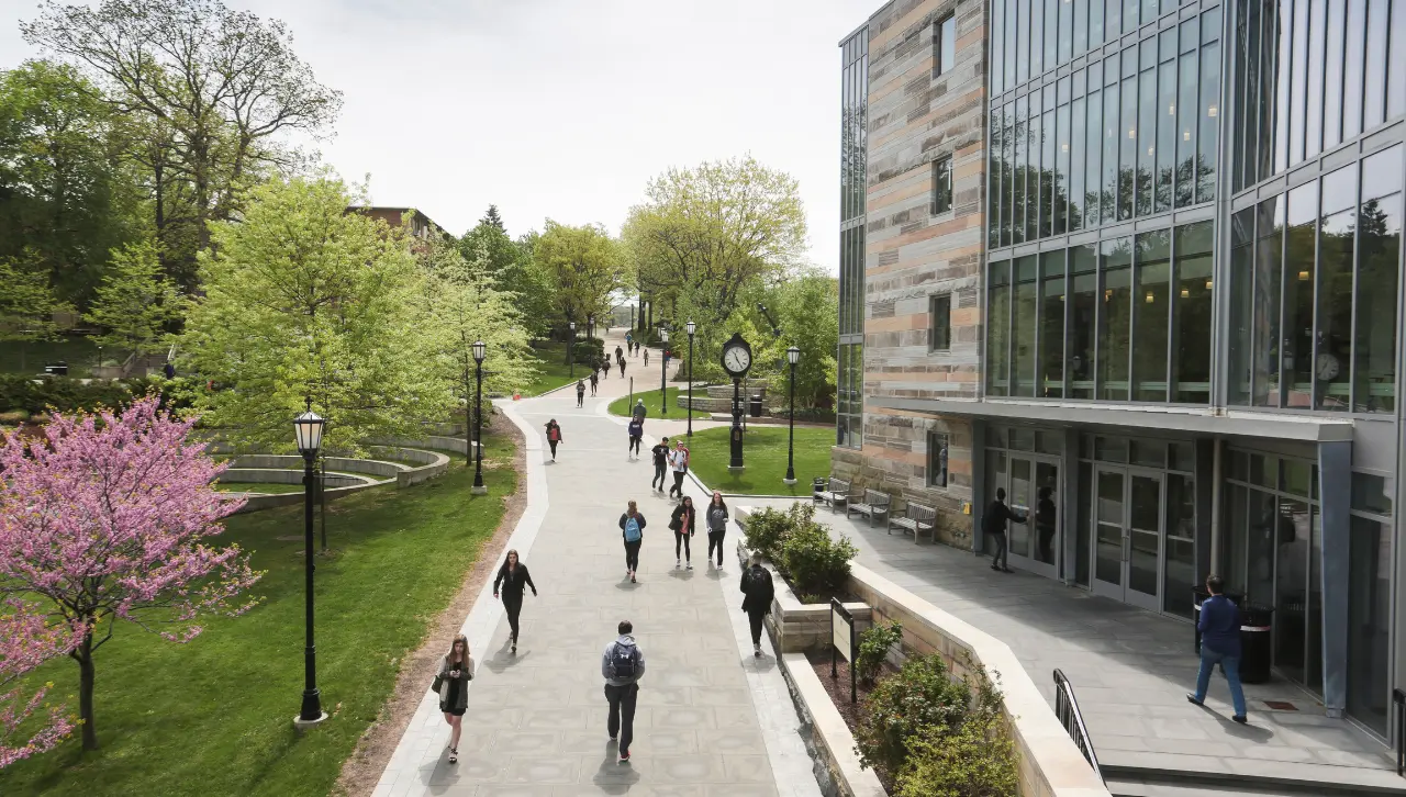 students walking up and down the commons on campus