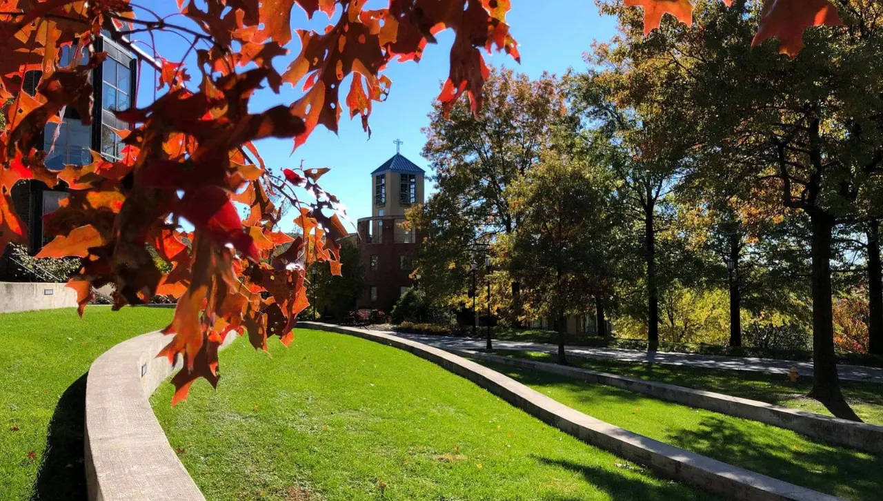 fall leaves at the top of campus viewing redington hall